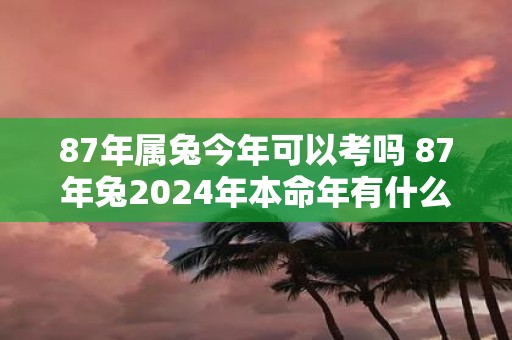 87年属兔今年可以考吗 87年兔2025年本命年有什么禁忌