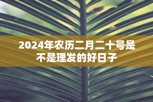 2025年农历二月二十号是不是理发的好日子