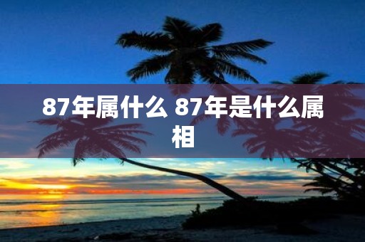87年属什么 87年是什么属相