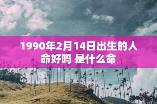 1990年2月14日出生的人命好吗 是什么命
