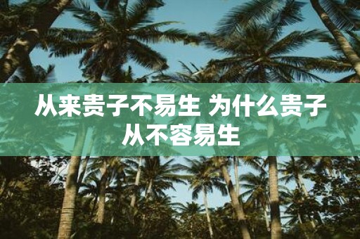 从来贵子不易生 为什么贵子从不容易生