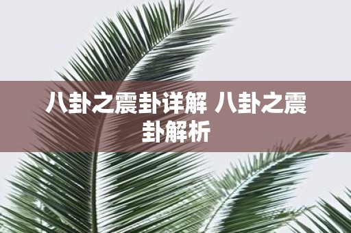 八卦之震卦详解 八卦之震卦解析