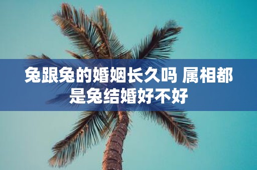 兔跟兔的婚姻长久吗 属相都是兔结婚好不好
