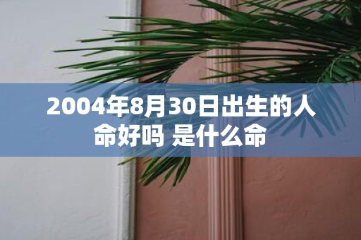 2004年8月30日出生的人命好吗 是什么命