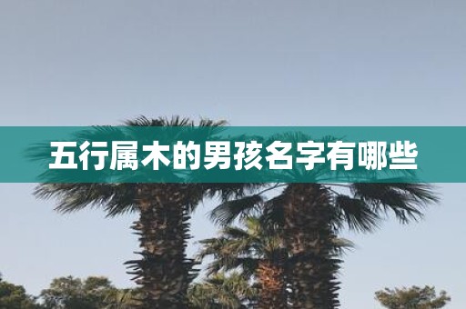 五行属木的男孩名字有哪些