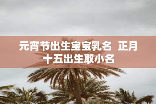 元宵节出生宝宝乳名 正月十五出生取小名