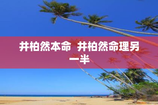 井柏然本命 井柏然命理另一半
