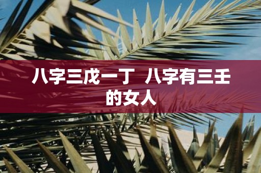 八字三戊一丁 八字有三壬的女人