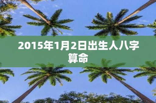 2015年1月2日出生人八字算命