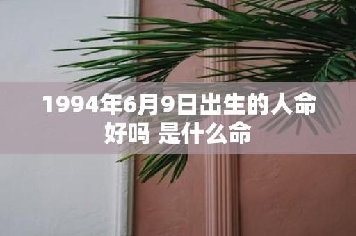1994年6月9日出生的人命好吗 是什么命