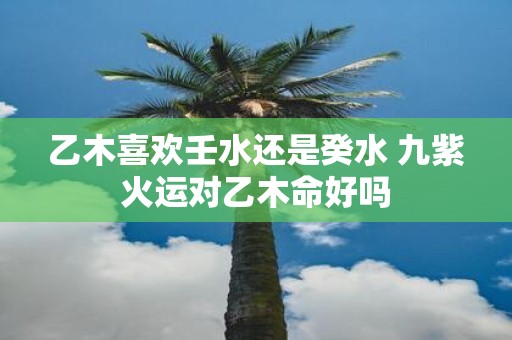 乙木喜欢壬水还是癸水 九紫火运对乙木命好吗