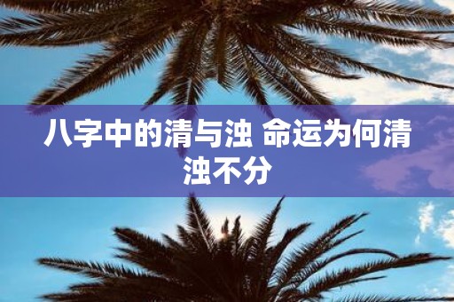 八字中的清与浊 命运为何清浊不分