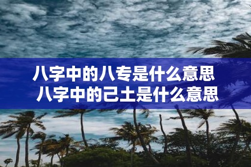 八字中的八专是什么意思 八字中的己土是什么意思