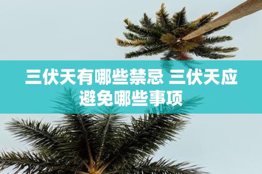 三伏天有哪些禁忌 三伏天应避免哪些事项