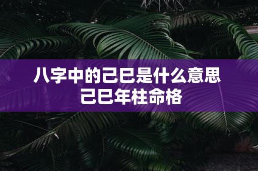 八字中的己巳是什么意思 己巳年柱命格