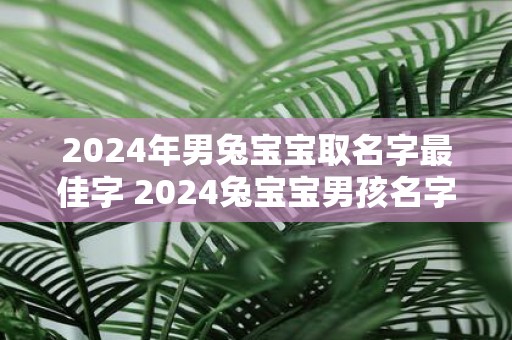 2025年男兔宝宝取名字最佳字 2025兔宝宝男孩名字推荐