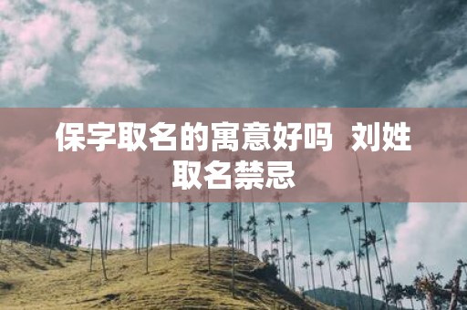 保字取名的寓意好吗 刘姓取名禁忌
