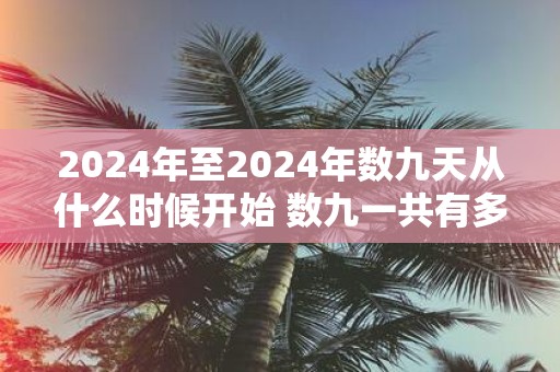 2025年至2025年数九天从什么时候开始 数九一共有多少天