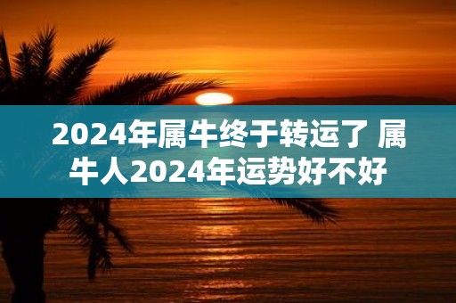 2025年属牛终于转运了 属牛人2025年运势好不好