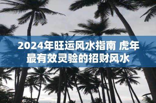 2025年旺运风水指南 虎年最有效灵验的招财风水