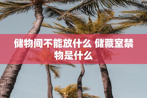 储物间不能放什么 储藏室禁物是什么