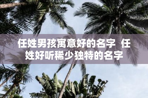 任姓男孩寓意好的名字 任姓好听稀少独特的名字