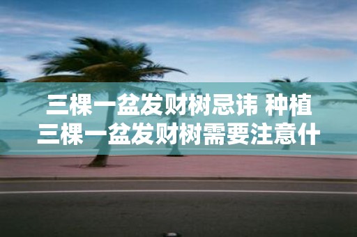 三棵一盆发财树忌讳 种植三棵一盆发财树需要注意什么