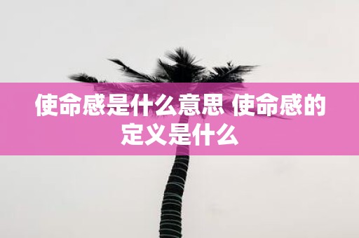 使命感是什么意思 使命感的定义是什么