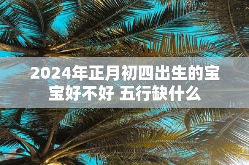 2025年正月初四出生的宝宝好不好 五行缺什么
