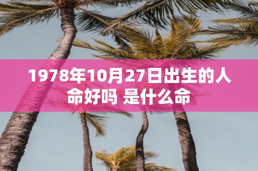 1978年10月27日出生的人命好吗 是什么命