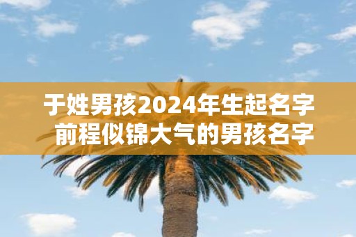 于姓男孩2025年生起名字 前程似锦大气的男孩名字