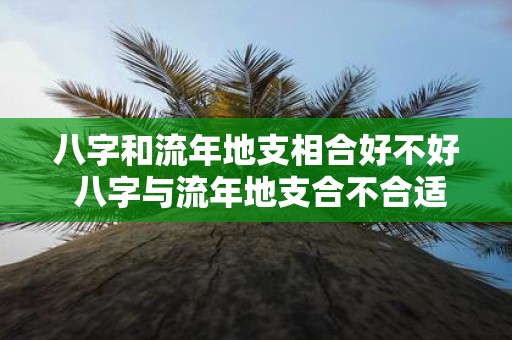 八字和流年地支相合好不好 八字与流年地支合不合适
