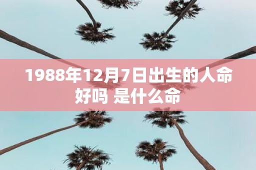 1988年12月7日出生的人命好吗 是什么命