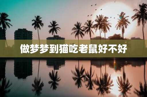 做梦梦到猫吃老鼠好不好