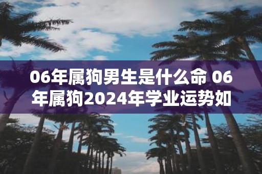 06年属狗男生是什么命 06年属狗2025年学业运势如何