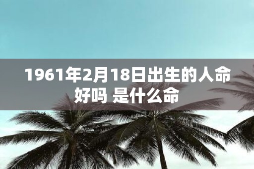 1961年2月18日出生的人命好吗 是什么命