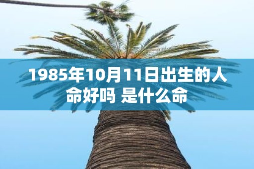 1985年10月11日出生的人命好吗 是什么命