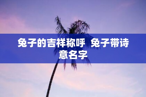 兔子的吉祥称呼 兔子带诗意名字