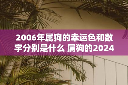 2006年属狗的幸运色和数字分别是什么 属狗的2025运势好吗
