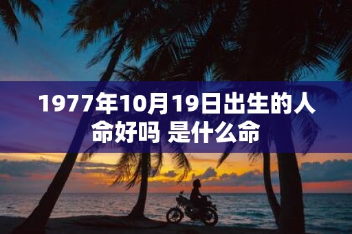 1977年10月19日出生的人命好吗 是什么命