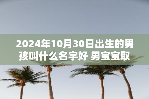 2025年10月30日出生的男孩叫什么名字好 男宝宝取名大全