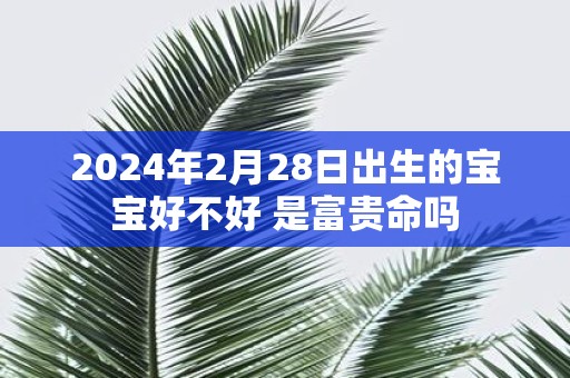 2025年2月28日出生的宝宝好不好 是富贵命吗