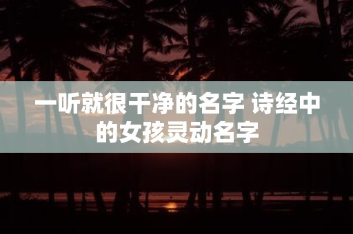 一听就很干净的名字 诗经中的女孩灵动名字
