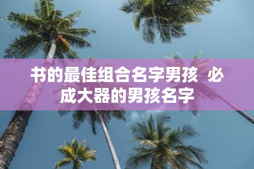 书的最佳组合名字男孩 必成大器的男孩名字