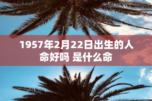1957年2月22日出生的人命好吗 是什么命