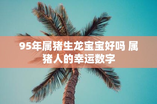 95年属猪生龙宝宝好吗 属猪人的幸运数字