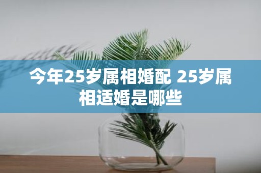 今年25岁属相婚配 25岁属相适婚是哪些