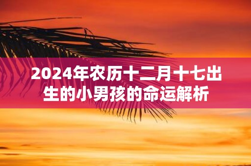 2025年农历十二月十七出生的小男孩的命运解析