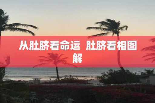 从肚脐看命运 肚脐看相图解