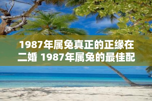 1987年属兔真正的正缘在二婚 1987年属兔的最佳配偶